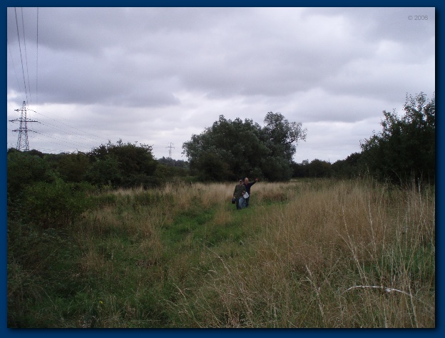 600x449 pixels (110K)